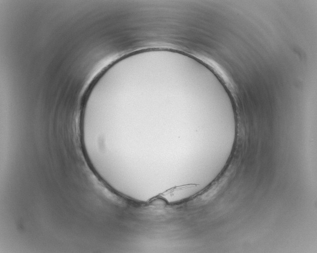 X0000114540910200911161355