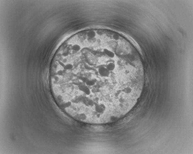 X0000114540911200911161355