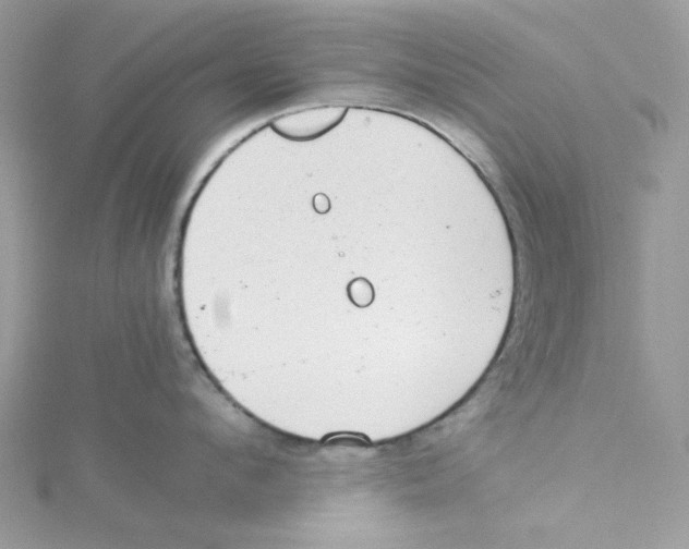 X0000114540912200911161355