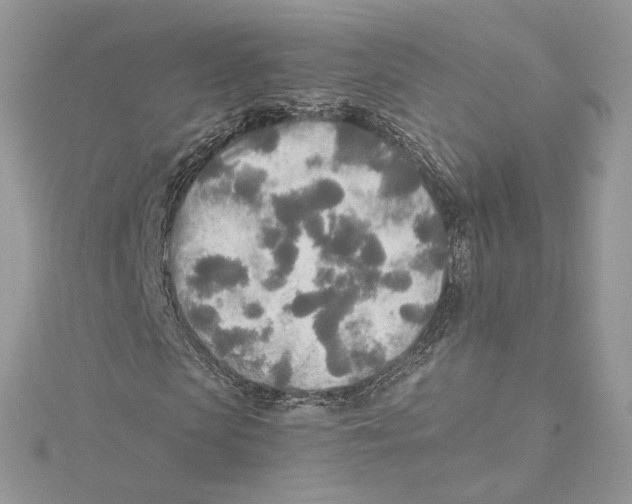 X0000114540913200911161354