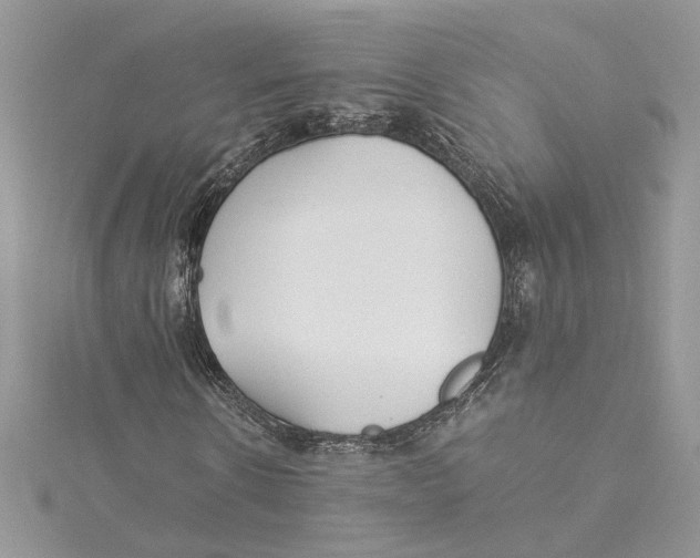 X0000114540914200911161354