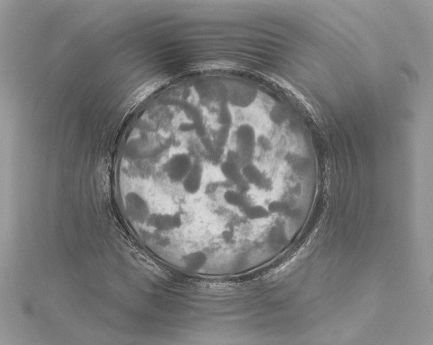 X0000114540921200911161354