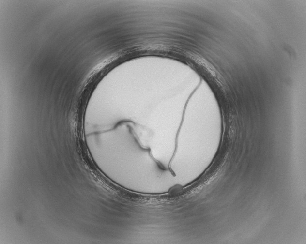 X0000114540922200911161354