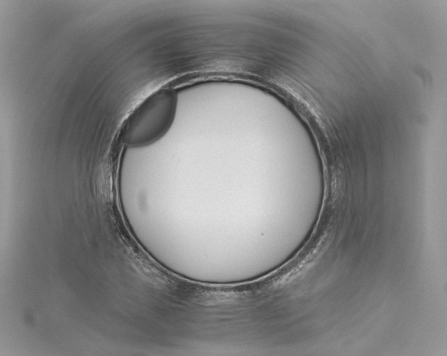 X0000114540925200911161354