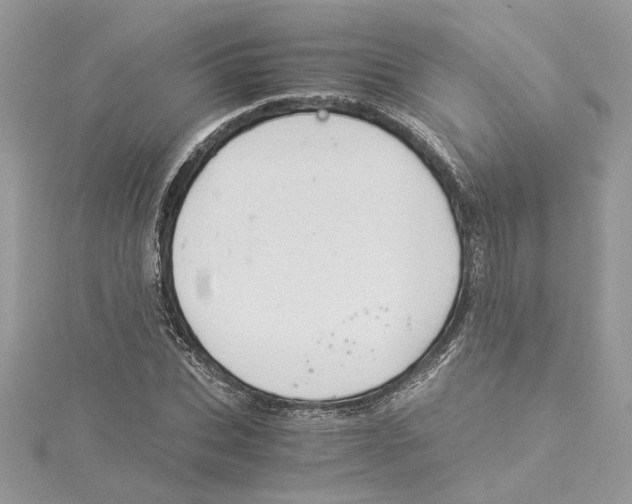 X0000114540927200911161354