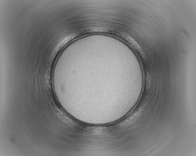 X0000114540930200911161354