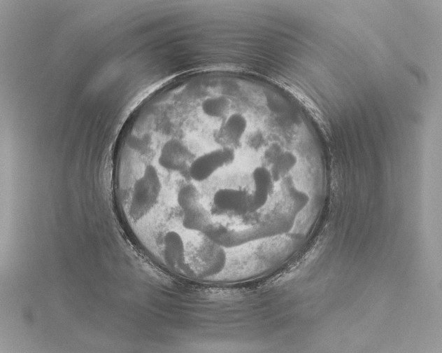 X0000114540933200911161354