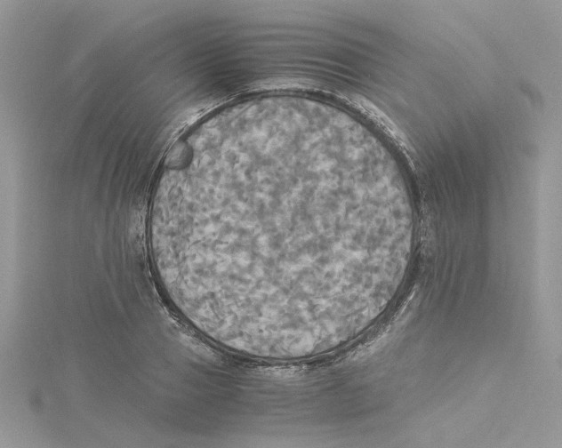 X0000114540937200911161354