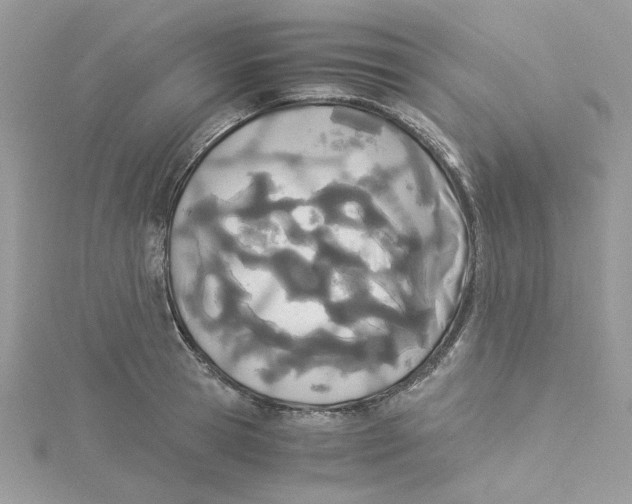 X0000114540945200911161354