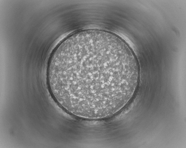 X0000114540949200911161355