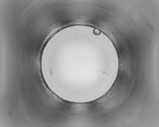 X0000114540950200911161355