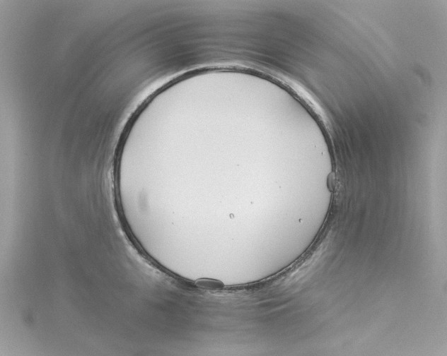 X0000114540951200911161355