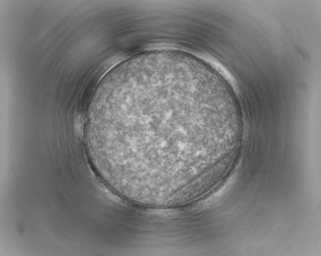 X0000114540953200911161355