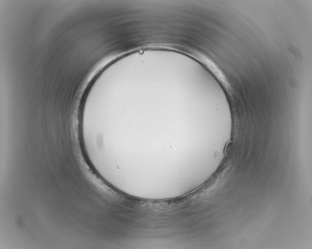 X0000114540955200911161355