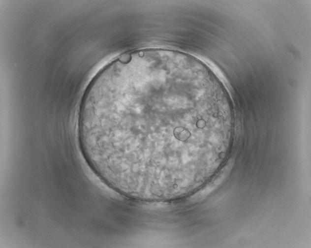 X0000114540957200911161355