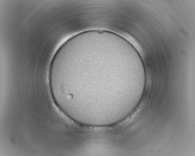 X0000114540958200911161355