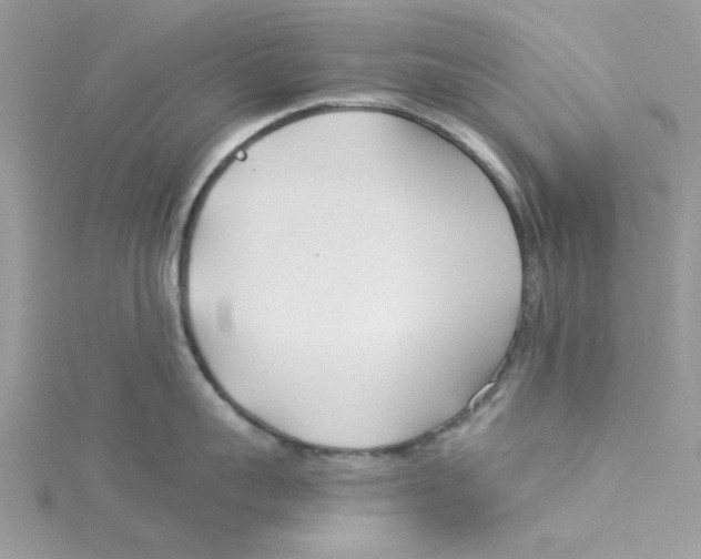 X0000114540959200911161355