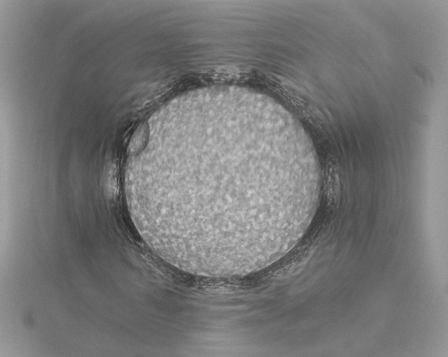 X0000114540962200911161354