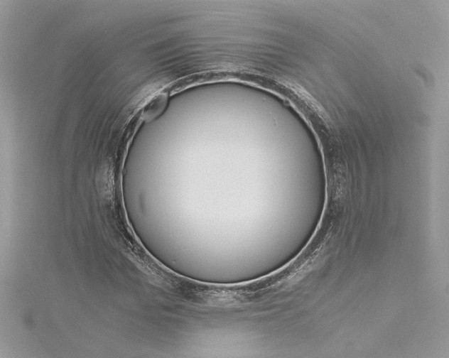 X0000114540969200911161354