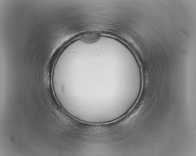 X0000114540973200911161354