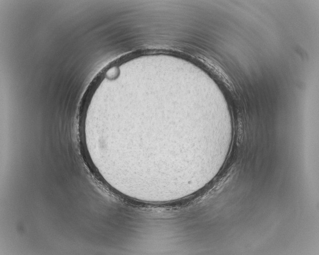 X0000114540976200911161354