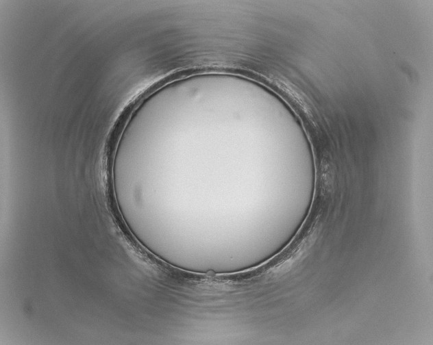 X0000114540981200911161354