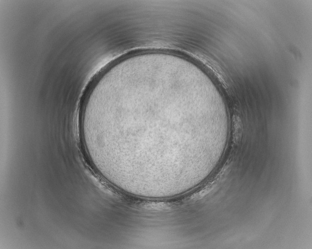 X0000114540982200911161354