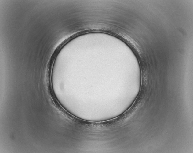 X0000114540983200911161354