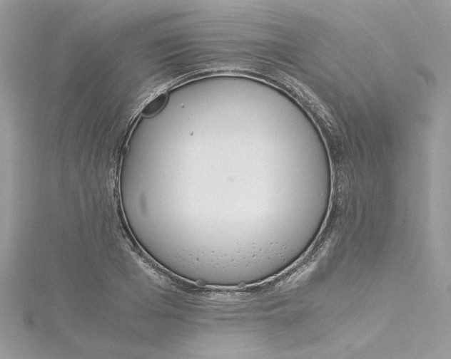 X0000114540985200911161354