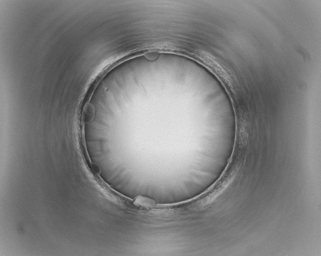 X0000114540989200911161353