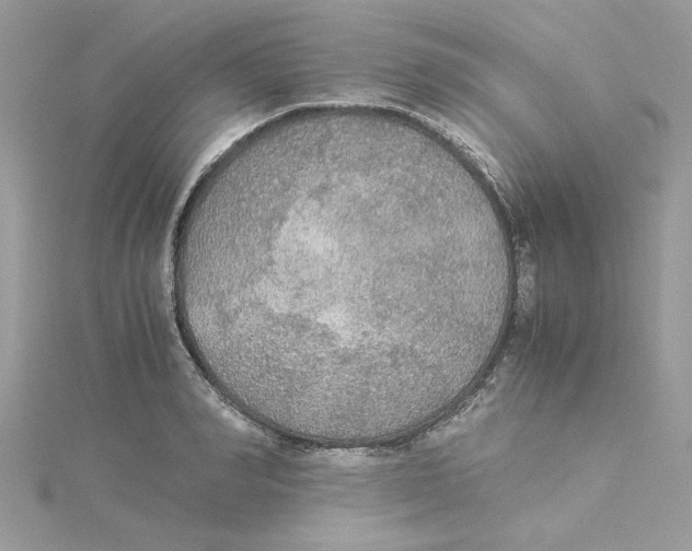 X0000114540990200911161353