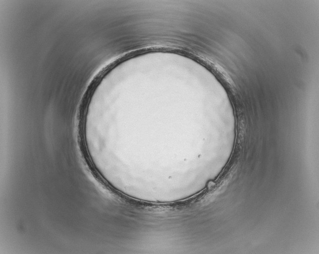 X0000114540991200911161353