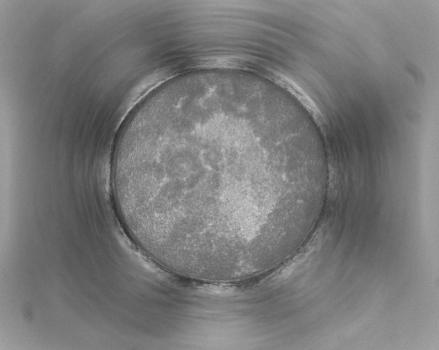 X0000114540994200911161353