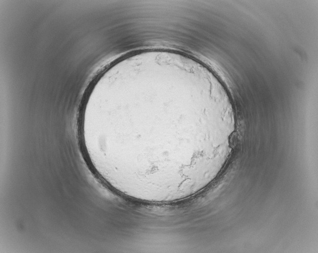 X0000114540995200911161353