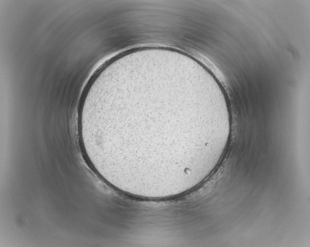 X0000114540996200911161353