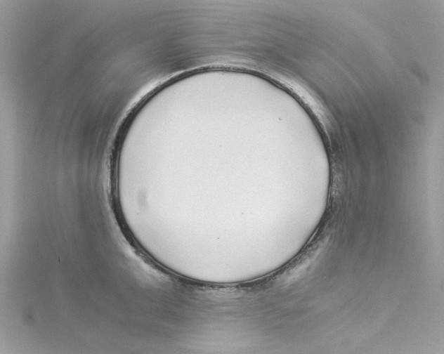 X0000114540999200911161353