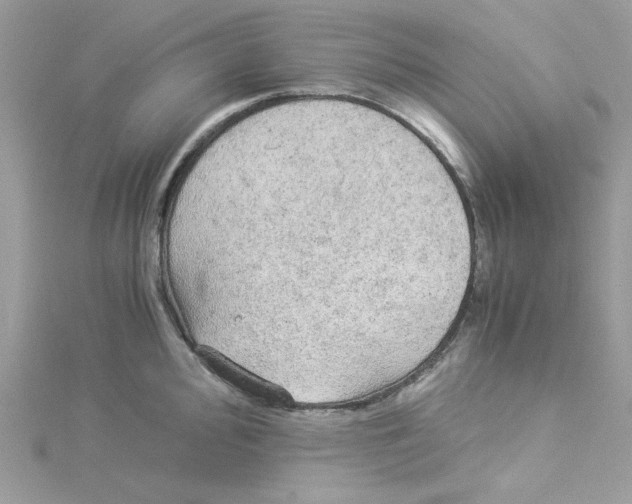 X0000114541000200911161353