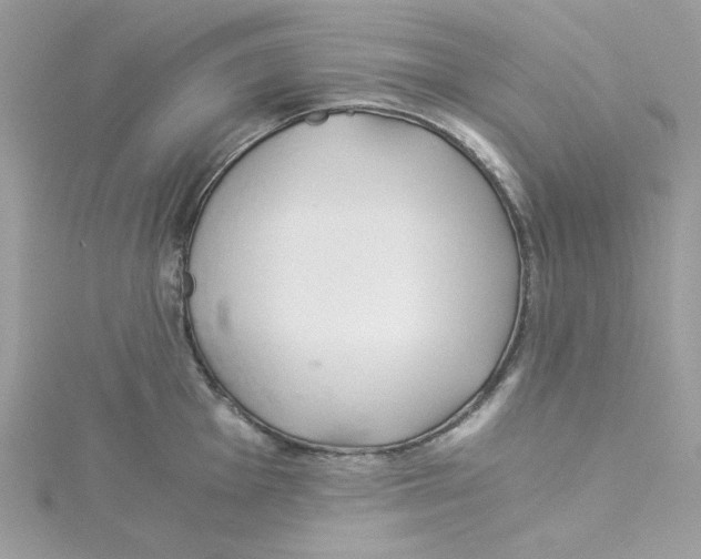 X0000114541001200911161353