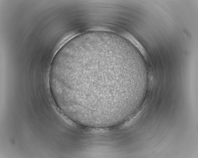 X0000114541002200911161353