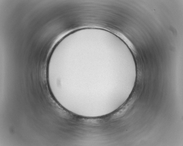 X0000114541004200911161353