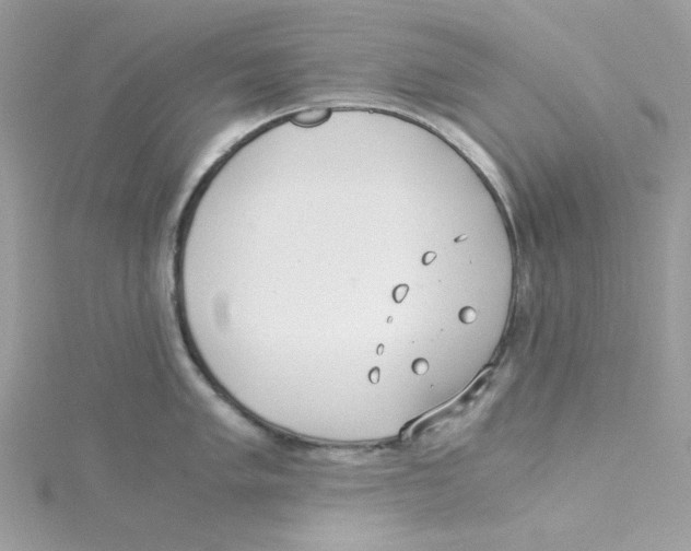 X0000114541005200911161353