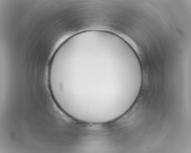 X0000114541006200911161353