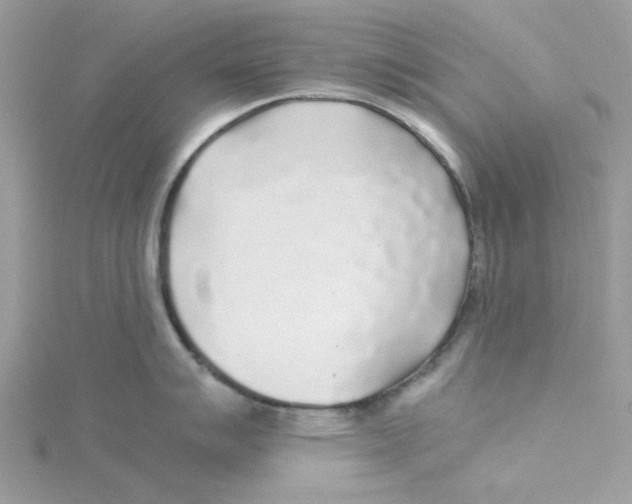 X0000114541007200911161353