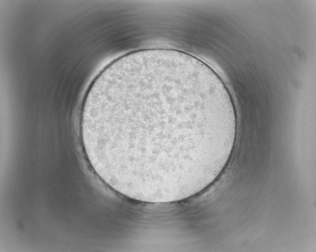 X0000114541008200911161353