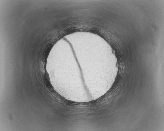 X0000114541010200911161353