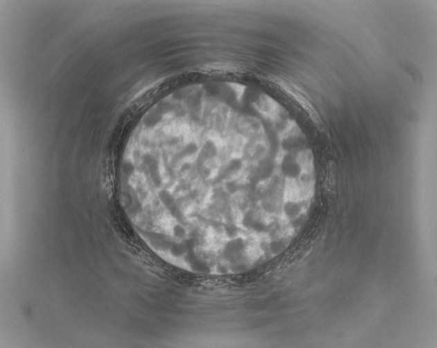 X0000114541015200911161353