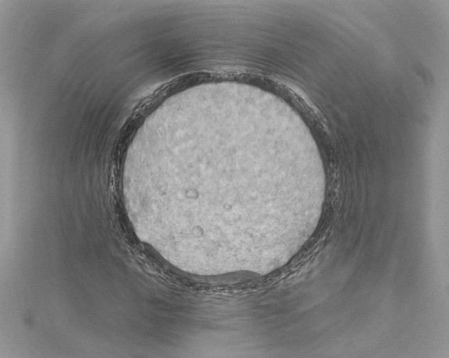 X0000114541016200911161353