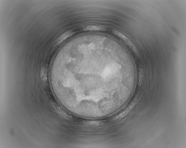 X0000114541017200911161353