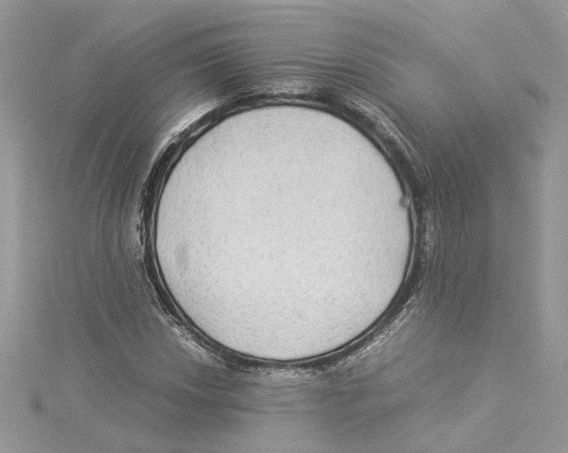 X0000114541018200911161353