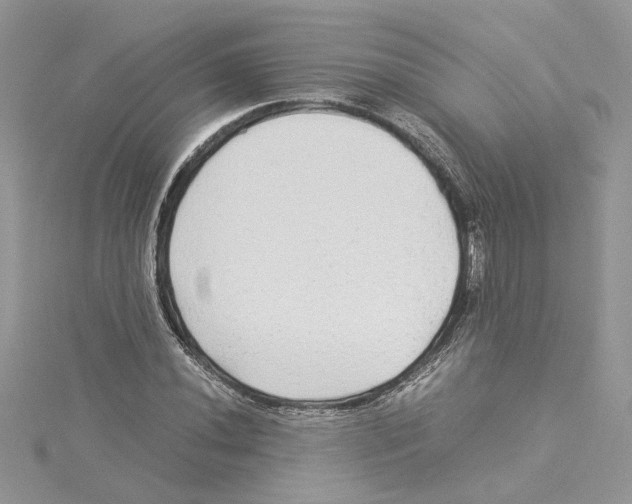 X0000114541020200911161353